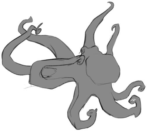 -- Octopus Study 001 --