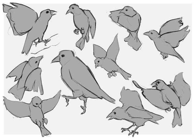 A collection of small bird figure drawings